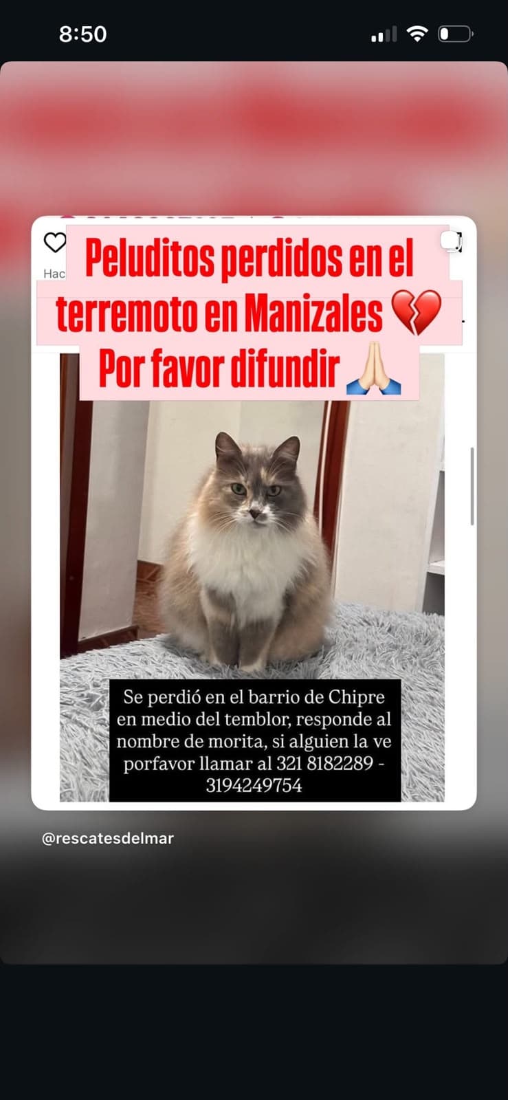 Morita EXTRAVIADO