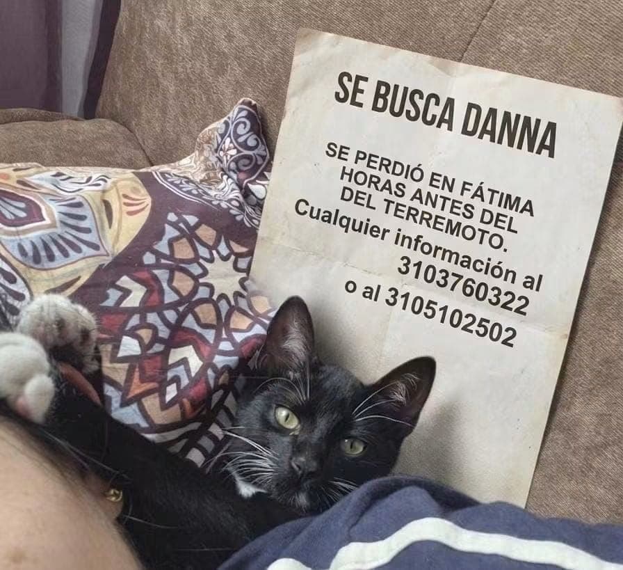 SE BUSCA - DANNA -