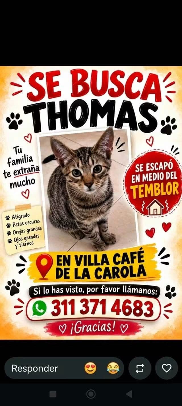 SE BUSCA THOMAS