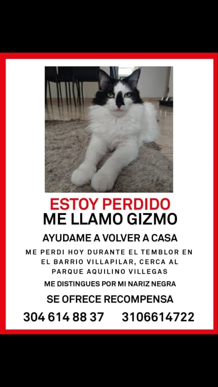 Estoy Perdido - GIZMO -